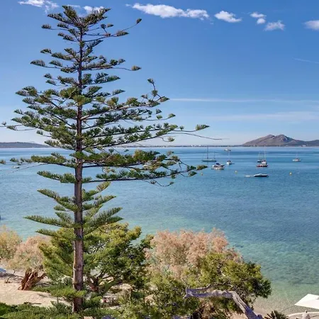 Illa D'or & Club Apts 4* Sup Puerto Pollensa